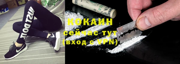 мет Касимов
