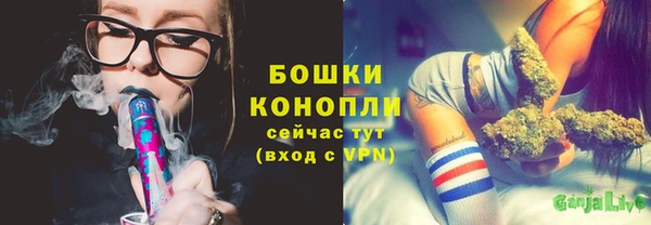 трава Карпинск