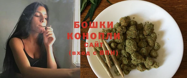 трава Карпинск
