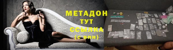 прущие грибы Карталы
