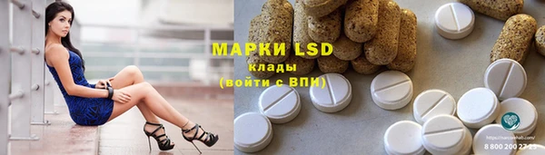 мет Касимов