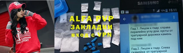 трава Карпинск