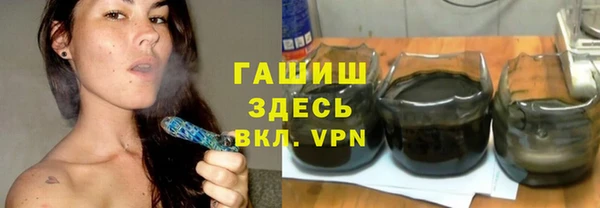 трава Карпинск