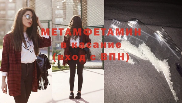 трава Карпинск