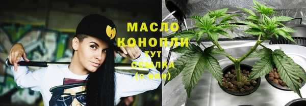 трава Карпинск