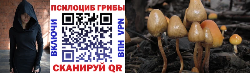 Купить где  Артёмовский  Галлюциногенные грибы GOLDEN TEACHER 